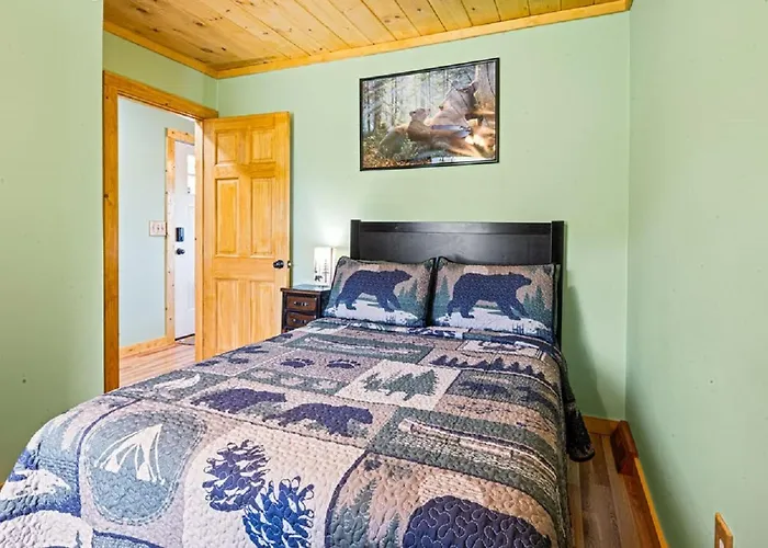 Brand New Tiny Cabin! A Bearly Adventure