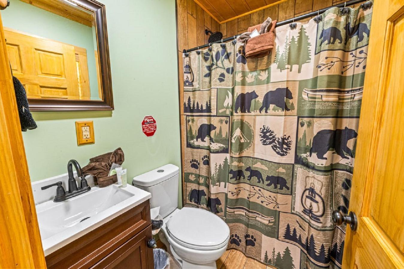 Brand New Tiny Cabin! A Bearly Adventure *