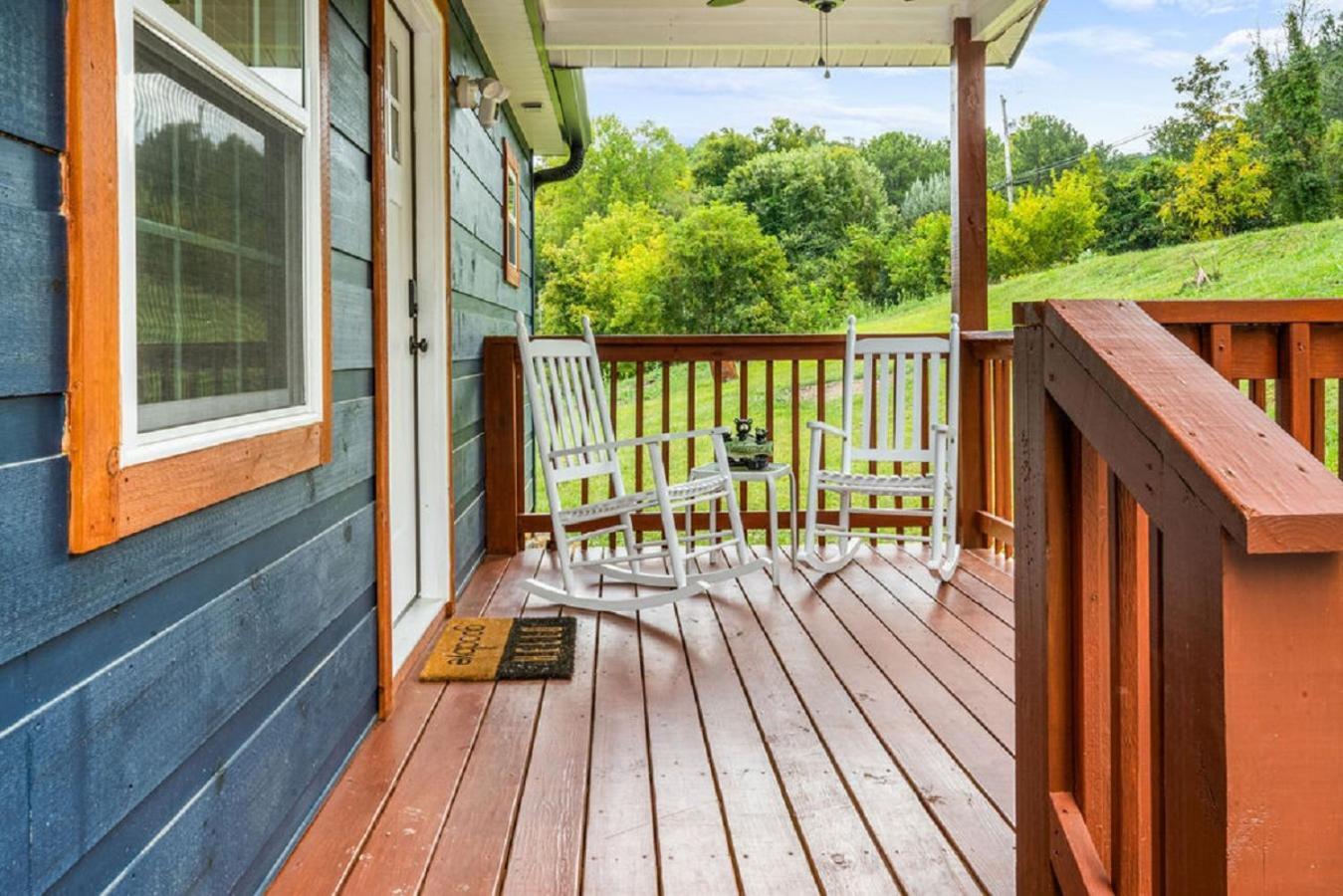 Brand New Tiny Cabin! A Bearly Adventure *