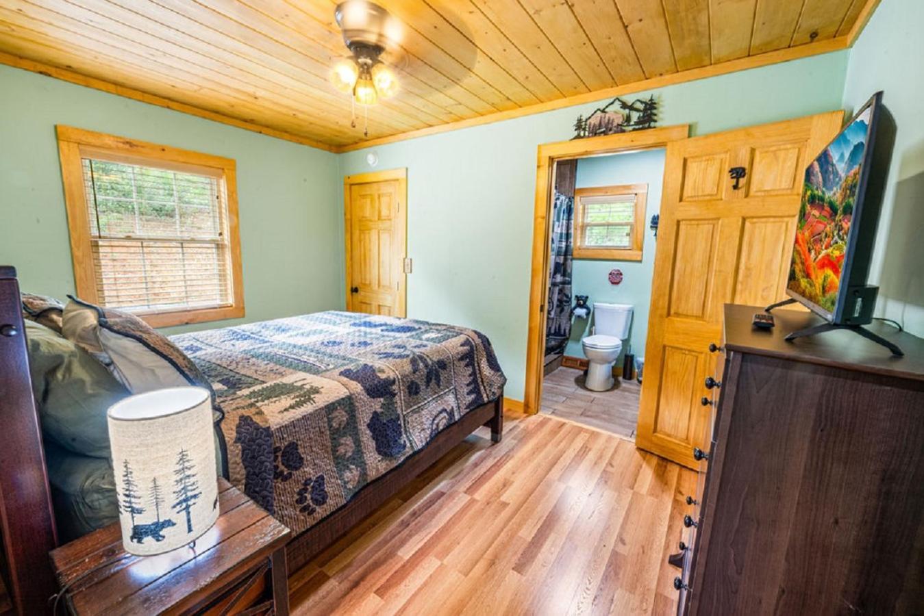 Brand New Tiny Cabin! A Bearly Adventure